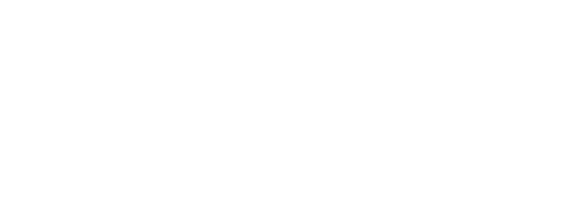 AIDI