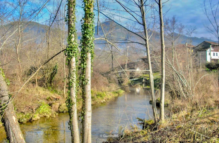 🇪🇸 Cangas de Onis, Asturias