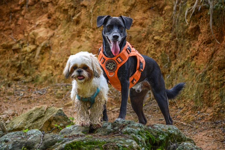 blog-guane-barichara-06