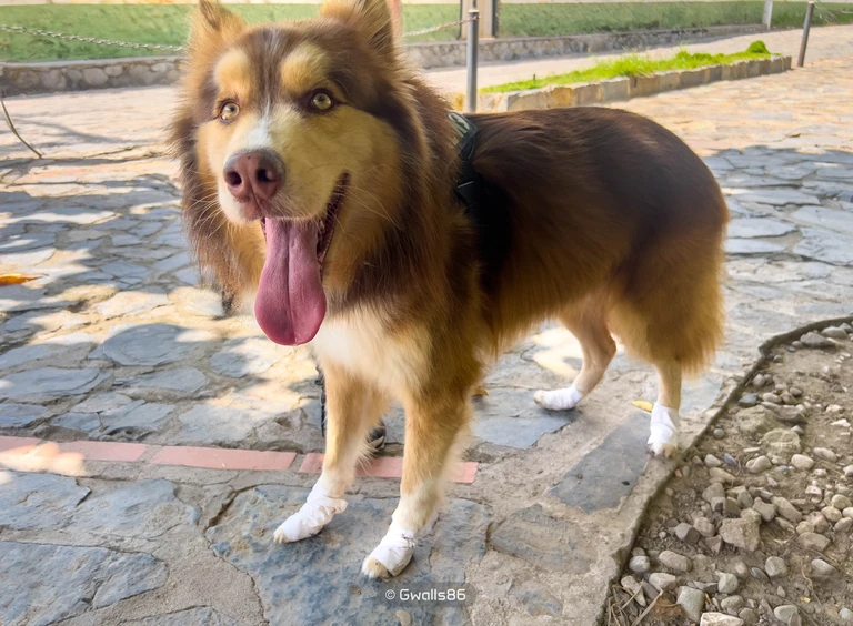 blog-senderismo-santos-jordan-06-768px