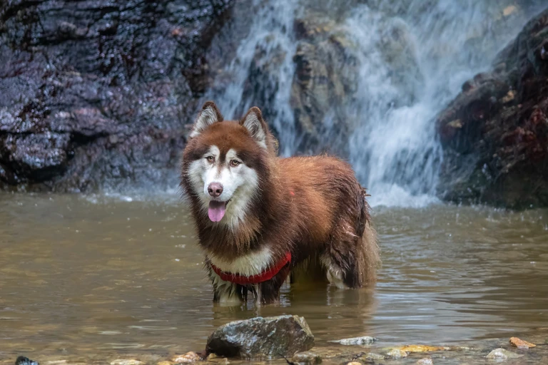 blog-senderismo-circuito-clausen-05-768px