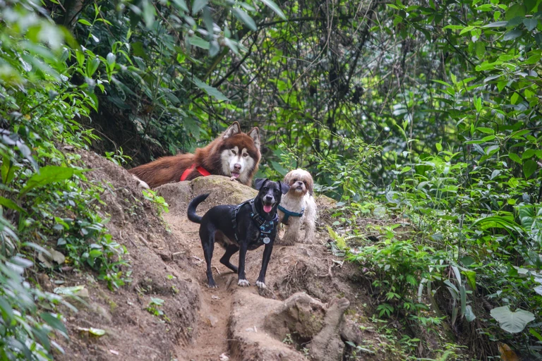 blog-senderismo-circuito-clausen-06-768px