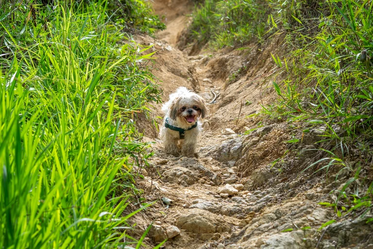 blog-senderismo-circuito-clausen-08-768px