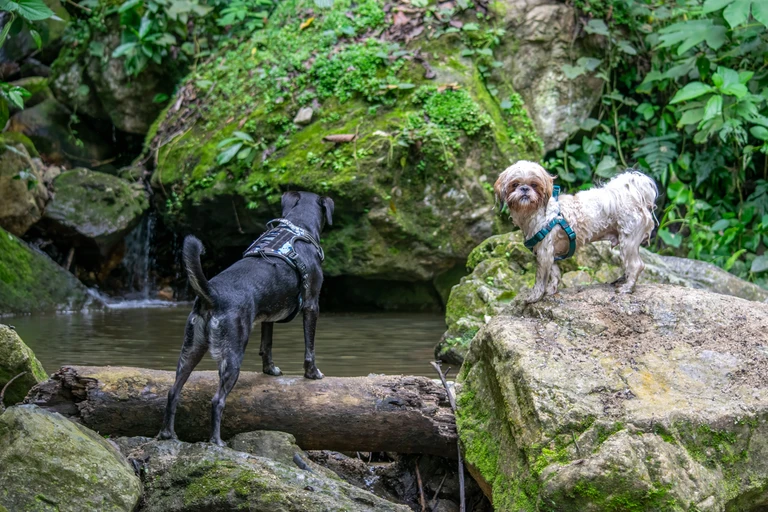 blog-senderismo-circuito-clausen-10-768px