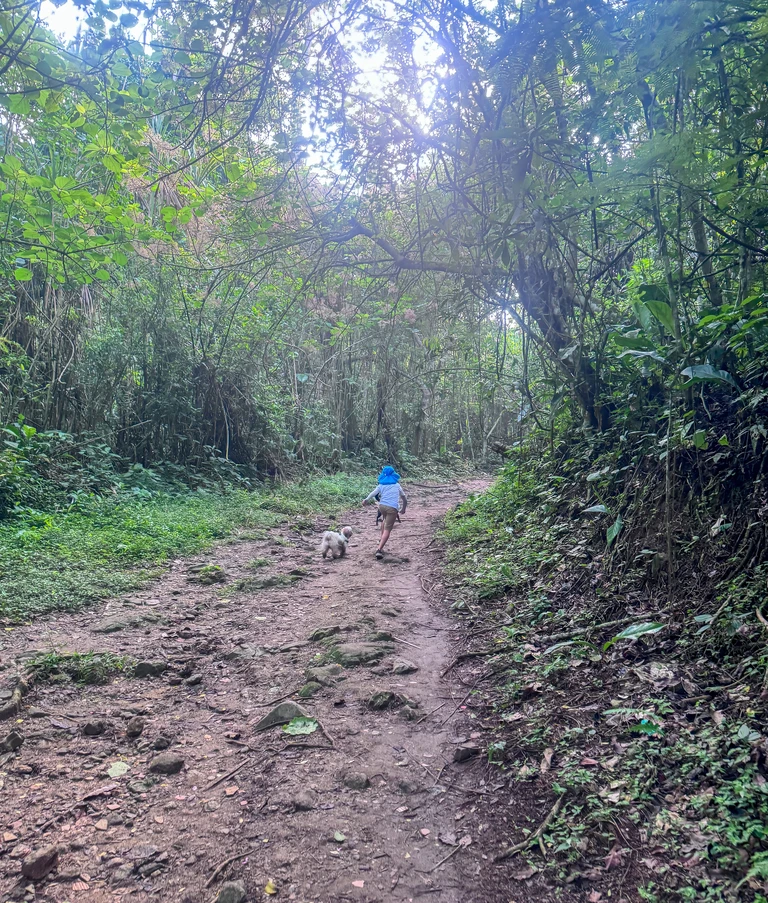 blog-senderismo-pan-azucar-km8-1-768px