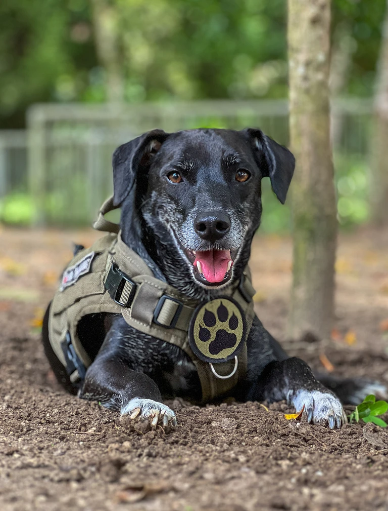 blog-senderismo-pan-azucar-km8-11-768px