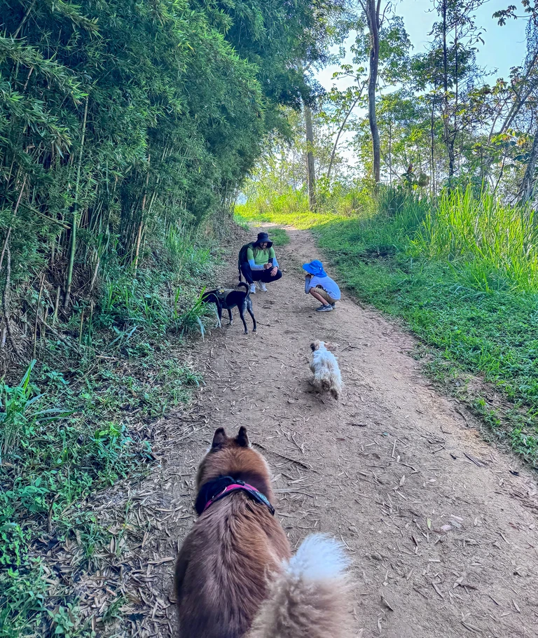 blog-senderismo-pan-azucar-km8-4-768px